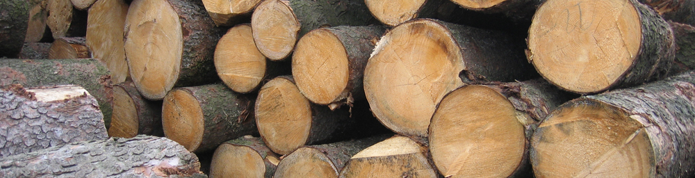 Ťažba a výkup dreva DECURIO